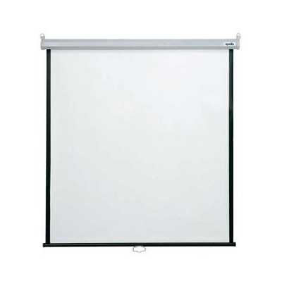 Epson 20782 - Projection screen