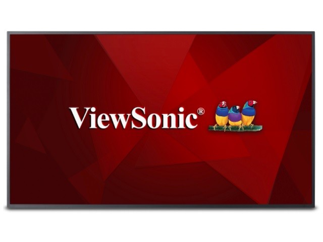 ViewSonic CDE5010 - LED-backlit LCD monitor - 50" - 3840 x 2160 - IPS - DVI / HDMI / USB - Black