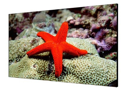 Hikvision DS-D2055LU-Y - 55" Clase diagonal pantalla LCD con retroiluminación LED - 1080p 1920 x 1080 - LED de iluminación directa